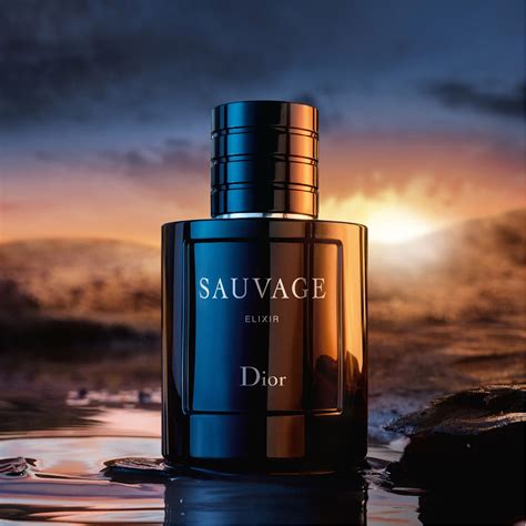 notes in dior sauvage elixir|sauvage elixir dior best price.